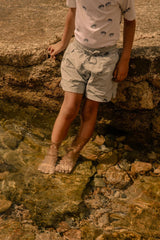 Short de Bain Chico Poisson Boule Bleu Gris