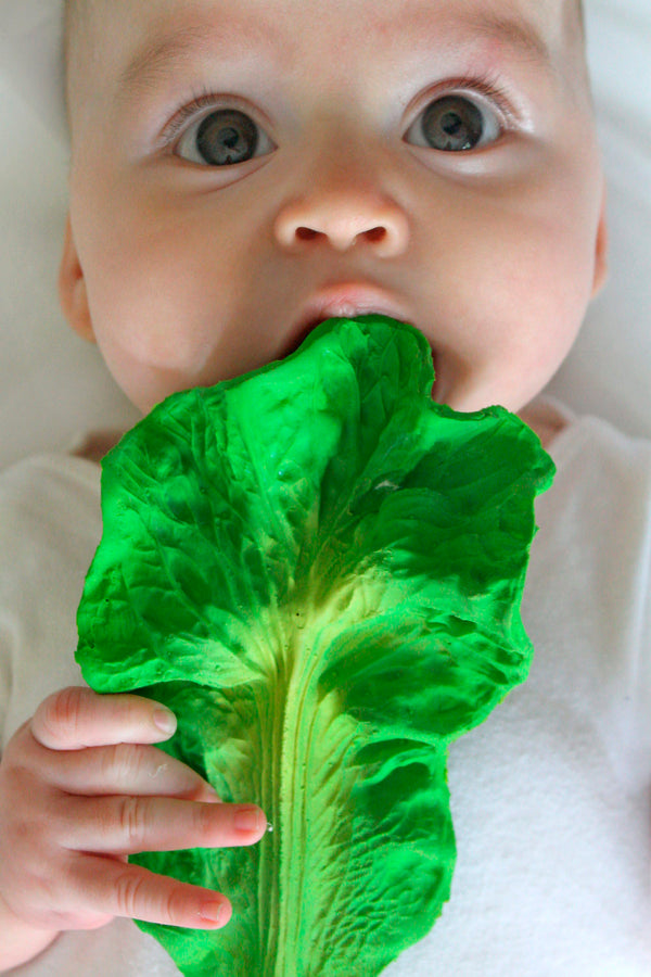 Jouet de Dentition bébé pour idée cadeaux de naissance original - Oli & Carol - Jouet de Dentition Kendall le Chou en coton bio - Photo 2