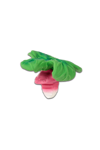 Oli & Carol - Boîte à Sucette En Caoutchouc Naturel Ramona The Radish - Cadeau Pratique Pour Bébé